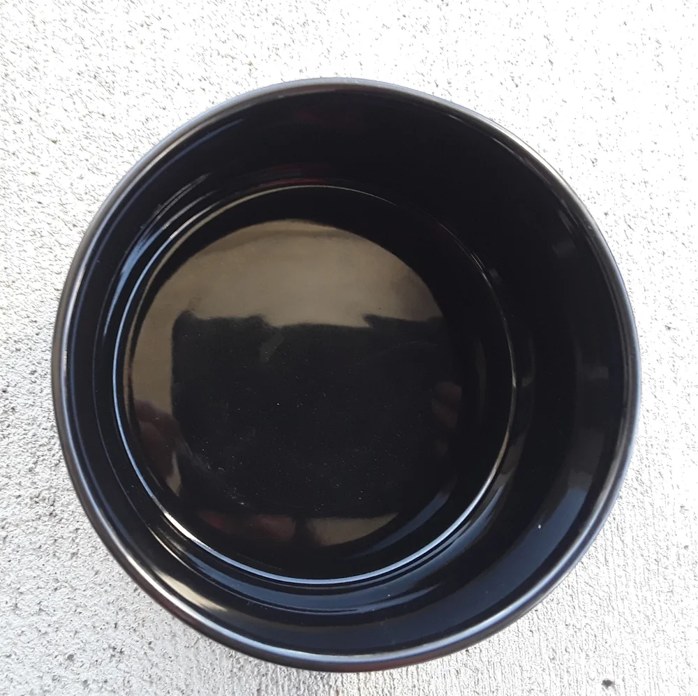 Rae Dunn Scary Cute Pet Bowl